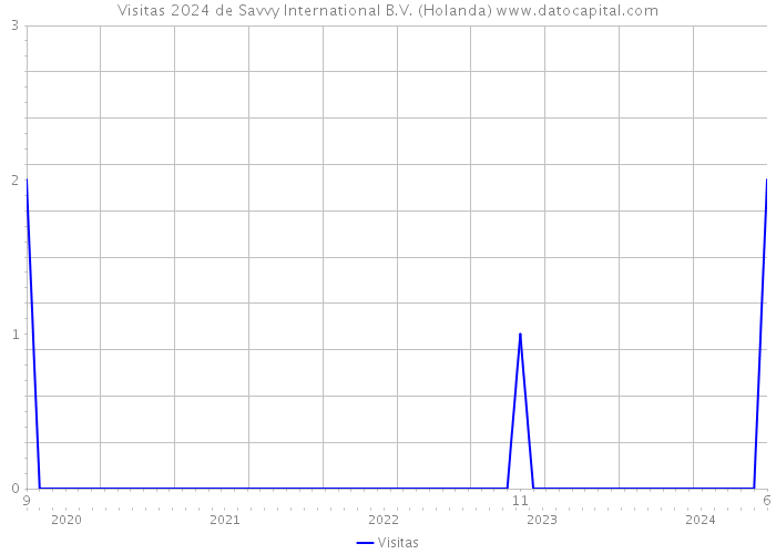 Visitas 2024 de Savvy International B.V. (Holanda) 