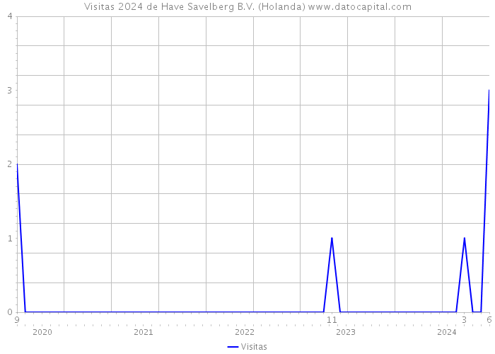 Visitas 2024 de Have Savelberg B.V. (Holanda) 