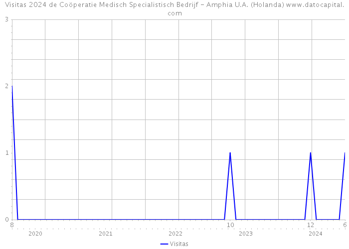 Visitas 2024 de Coöperatie Medisch Specialistisch Bedrijf - Amphia U.A. (Holanda) 