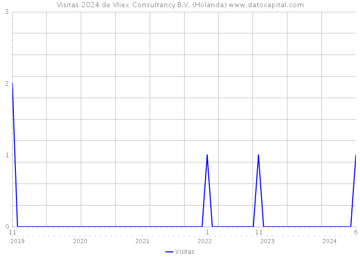 Visitas 2024 de Vliex Consultancy B.V. (Holanda) 