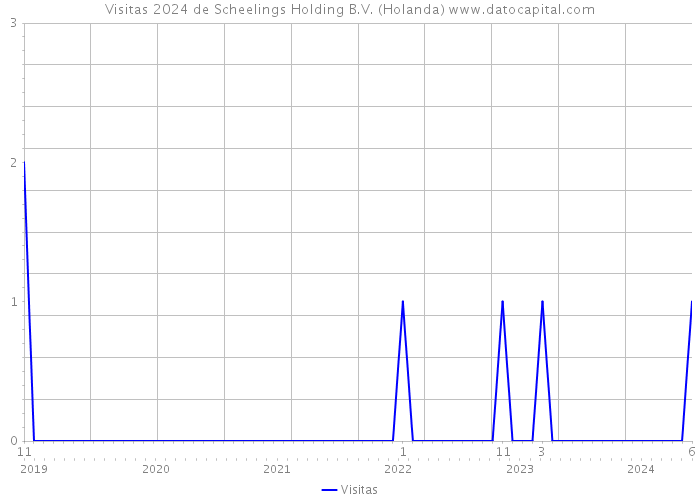Visitas 2024 de Scheelings Holding B.V. (Holanda) 