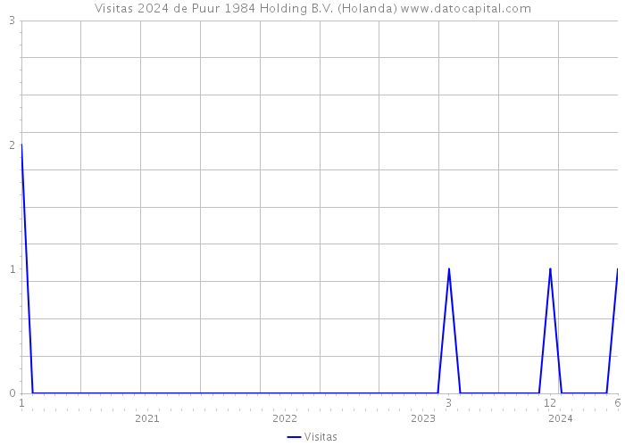 Visitas 2024 de Puur 1984 Holding B.V. (Holanda) 