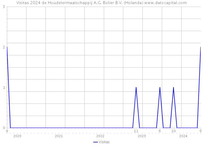 Visitas 2024 de Houdstermaatschappij A.G. Bolier B.V. (Holanda) 