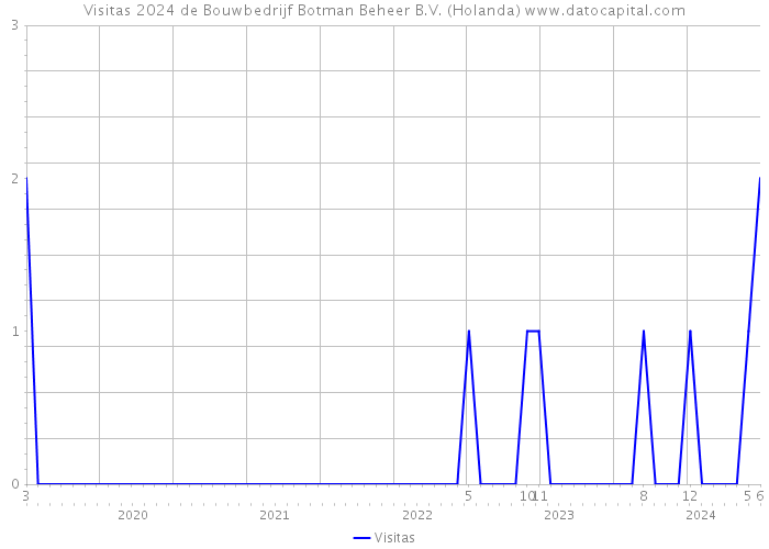 Visitas 2024 de Bouwbedrijf Botman Beheer B.V. (Holanda) 