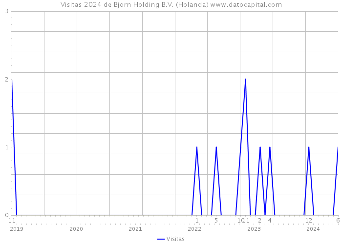 Visitas 2024 de Bjorn Holding B.V. (Holanda) 