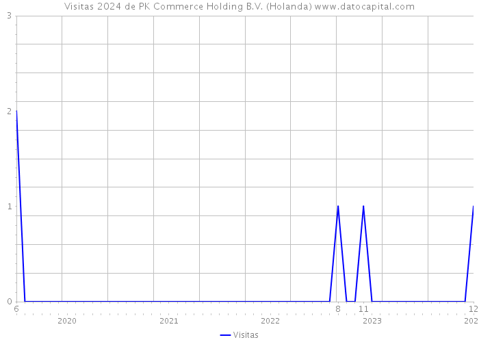 Visitas 2024 de PK Commerce Holding B.V. (Holanda) 