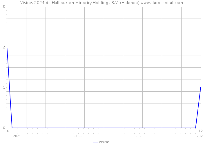Visitas 2024 de Halliburton Minority Holdings B.V. (Holanda) 