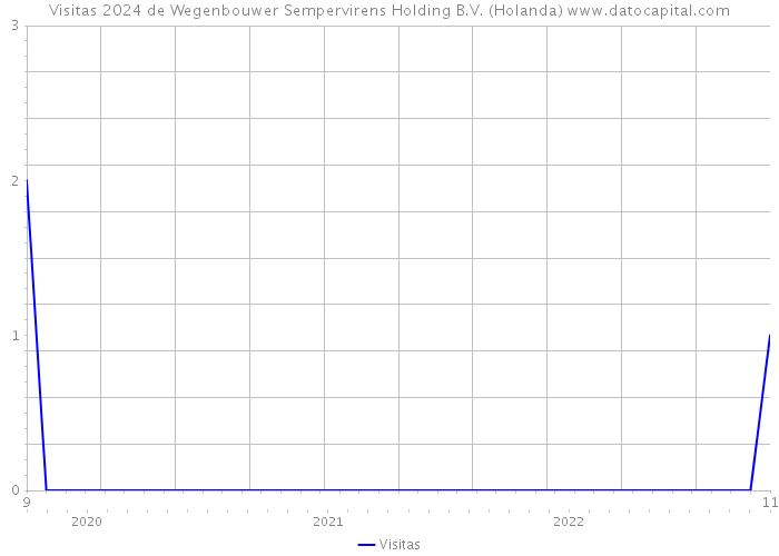 Visitas 2024 de Wegenbouwer Sempervirens Holding B.V. (Holanda) 