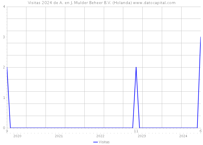 Visitas 2024 de A. en J. Mulder Beheer B.V. (Holanda) 