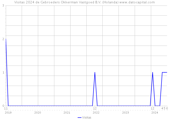 Visitas 2024 de Gebroeders Okkerman Vastgoed B.V. (Holanda) 