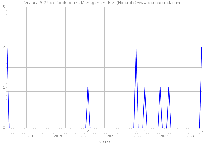 Visitas 2024 de Kookaburra Management B.V. (Holanda) 