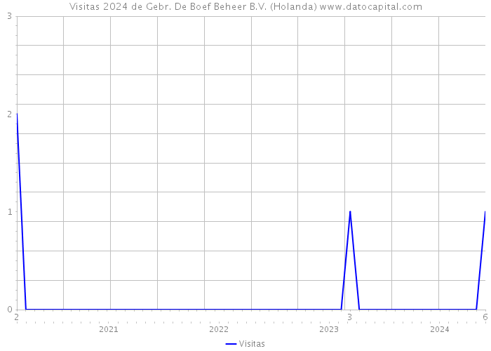 Visitas 2024 de Gebr. De Boef Beheer B.V. (Holanda) 