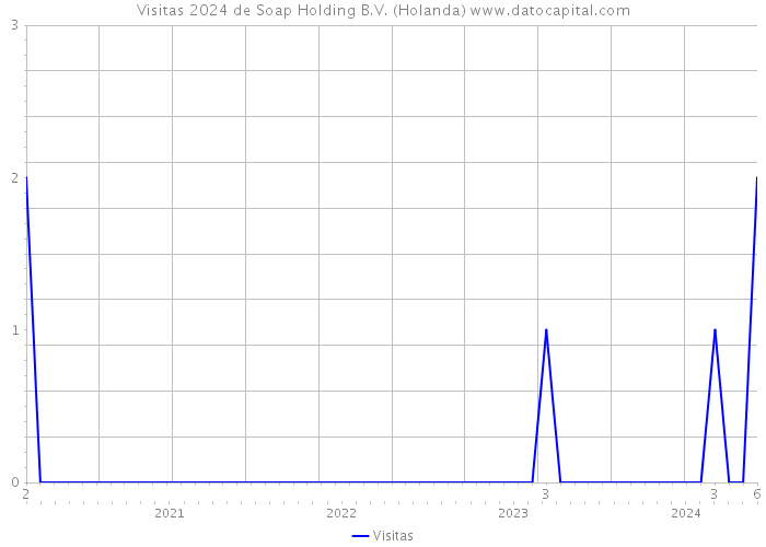 Visitas 2024 de Soap Holding B.V. (Holanda) 