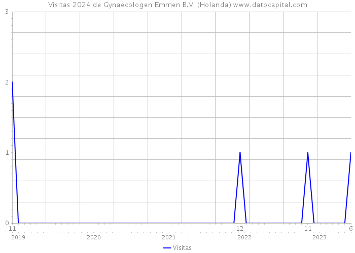 Visitas 2024 de Gynaecologen Emmen B.V. (Holanda) 