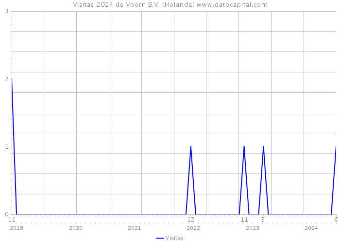 Visitas 2024 de Voorn B.V. (Holanda) 