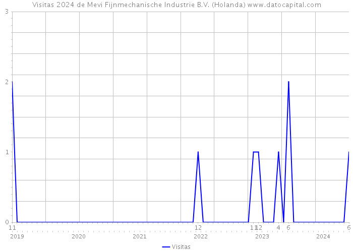 Visitas 2024 de Mevi Fijnmechanische Industrie B.V. (Holanda) 