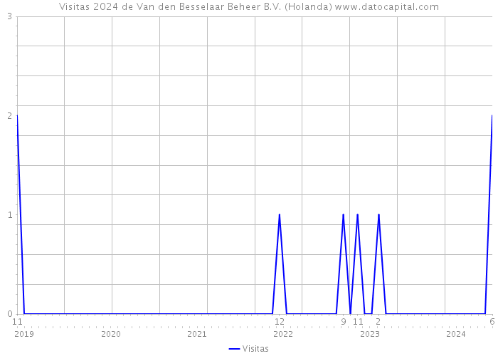 Visitas 2024 de Van den Besselaar Beheer B.V. (Holanda) 