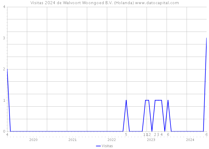 Visitas 2024 de Walvoort Woongoed B.V. (Holanda) 