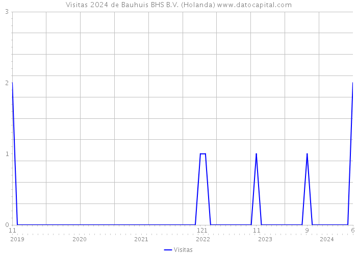 Visitas 2024 de Bauhuis BHS B.V. (Holanda) 