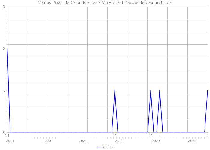 Visitas 2024 de Chou Beheer B.V. (Holanda) 