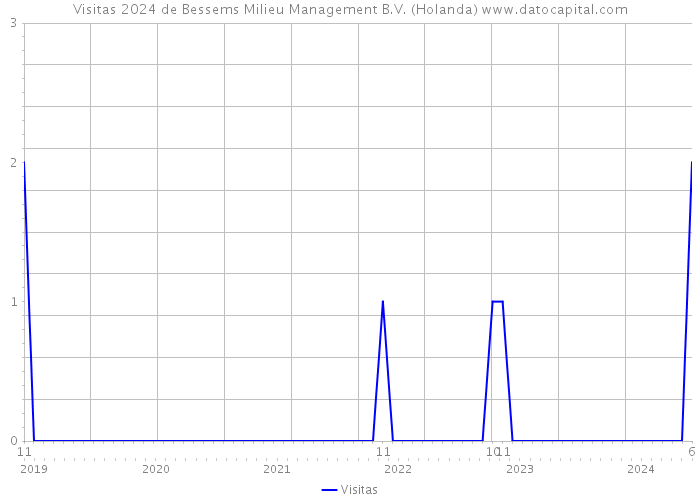 Visitas 2024 de Bessems Milieu Management B.V. (Holanda) 