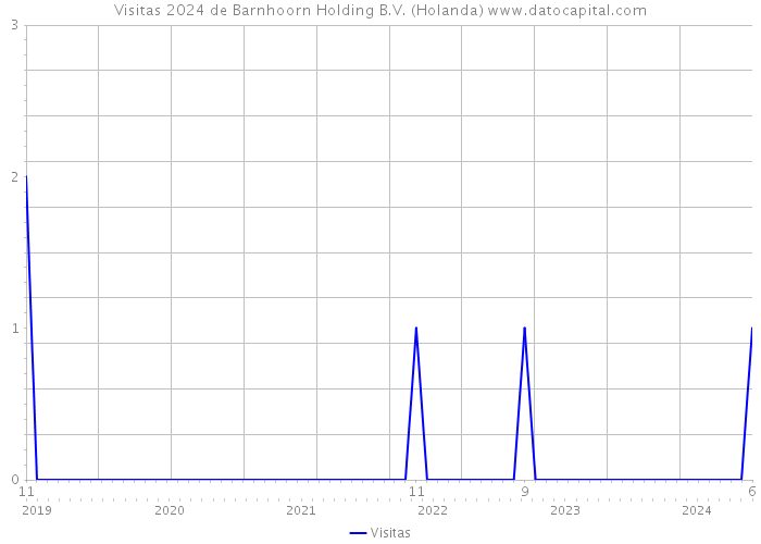 Visitas 2024 de Barnhoorn Holding B.V. (Holanda) 