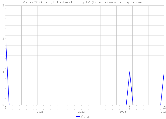 Visitas 2024 de B.J.F. Hakkers Holding B.V. (Holanda) 