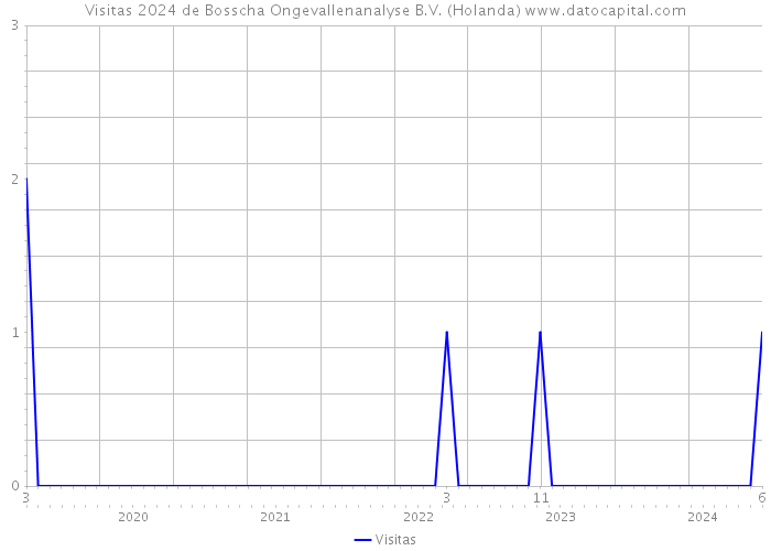 Visitas 2024 de Bosscha Ongevallenanalyse B.V. (Holanda) 