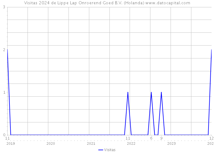 Visitas 2024 de Lippe Lap Onroerend Goed B.V. (Holanda) 