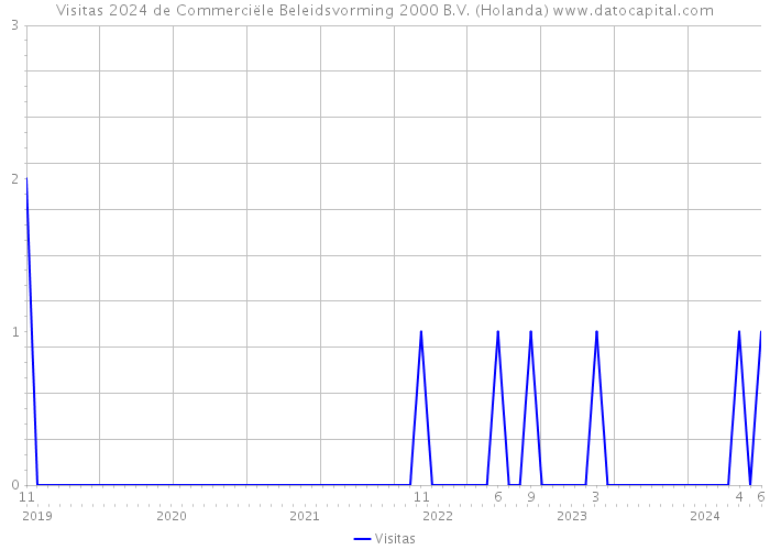 Visitas 2024 de Commerciële Beleidsvorming 2000 B.V. (Holanda) 