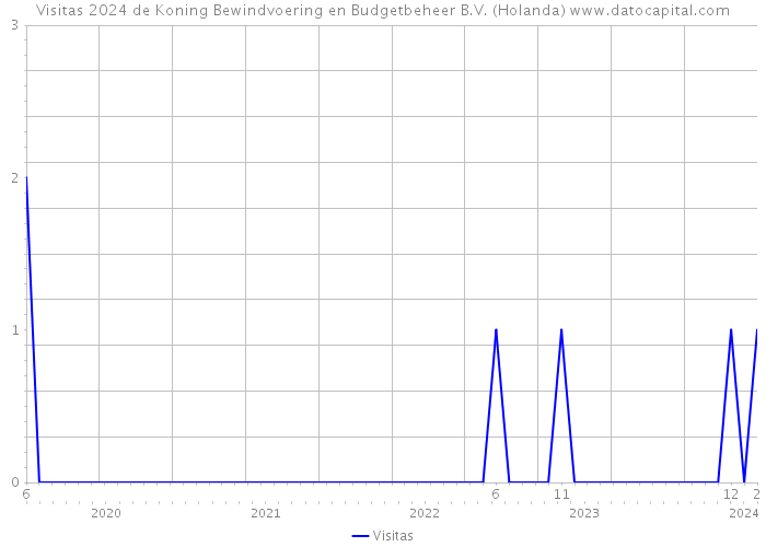 Visitas 2024 de Koning Bewindvoering en Budgetbeheer B.V. (Holanda) 