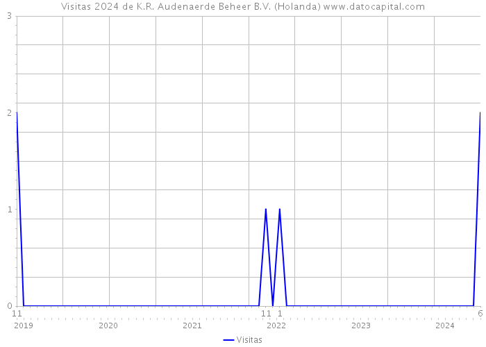 Visitas 2024 de K.R. Audenaerde Beheer B.V. (Holanda) 