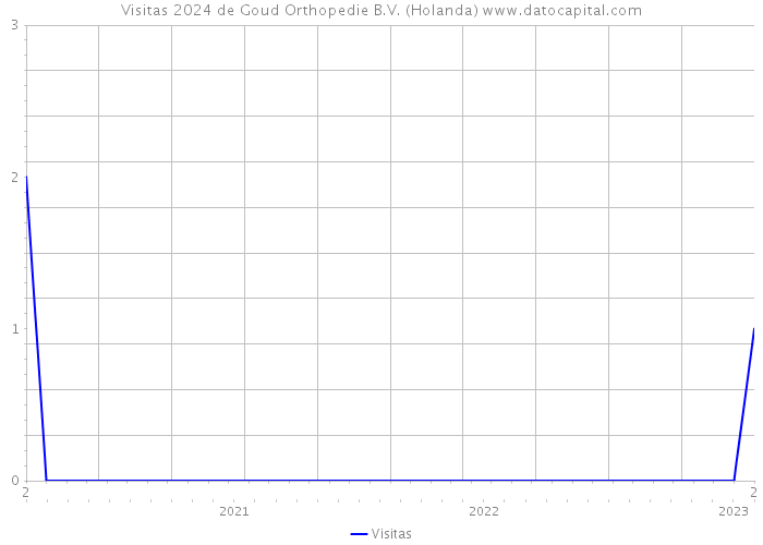 Visitas 2024 de Goud Orthopedie B.V. (Holanda) 