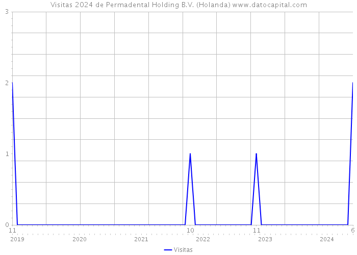 Visitas 2024 de Permadental Holding B.V. (Holanda) 