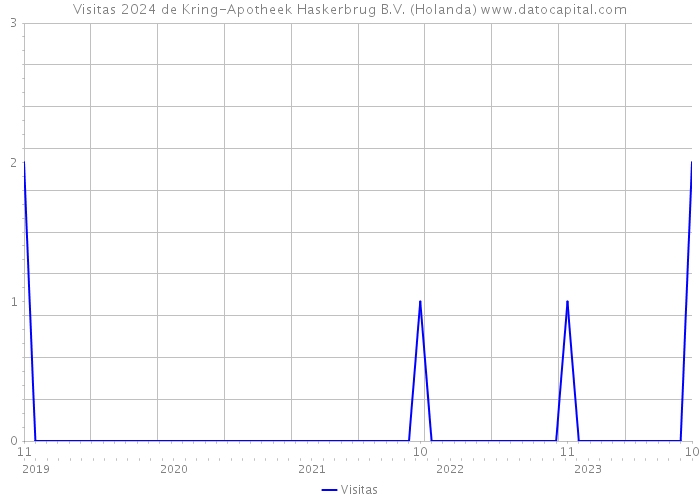 Visitas 2024 de Kring-Apotheek Haskerbrug B.V. (Holanda) 