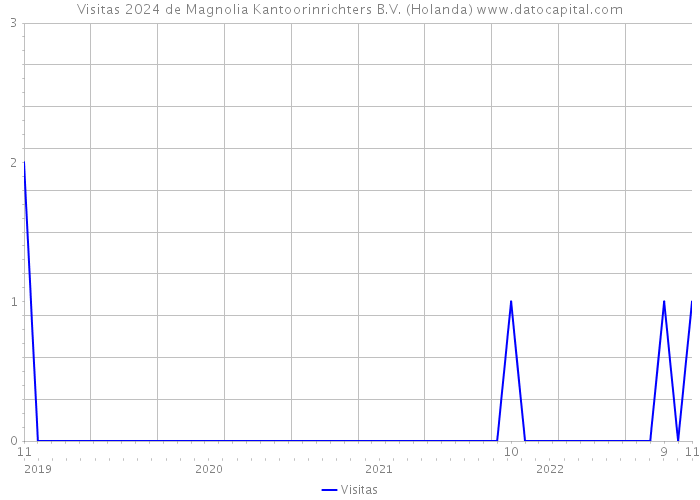 Visitas 2024 de Magnolia Kantoorinrichters B.V. (Holanda) 