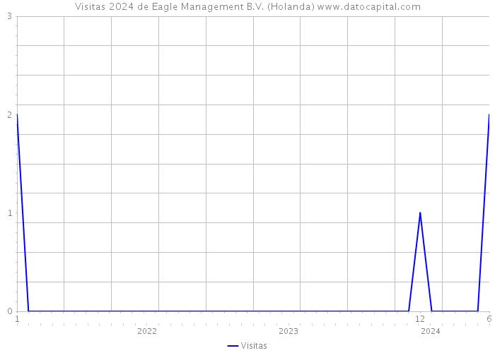 Visitas 2024 de Eagle Management B.V. (Holanda) 