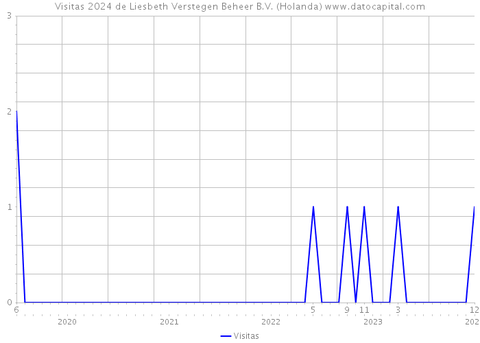 Visitas 2024 de Liesbeth Verstegen Beheer B.V. (Holanda) 