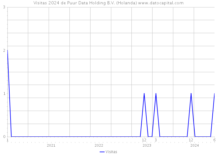 Visitas 2024 de Puur Data Holding B.V. (Holanda) 