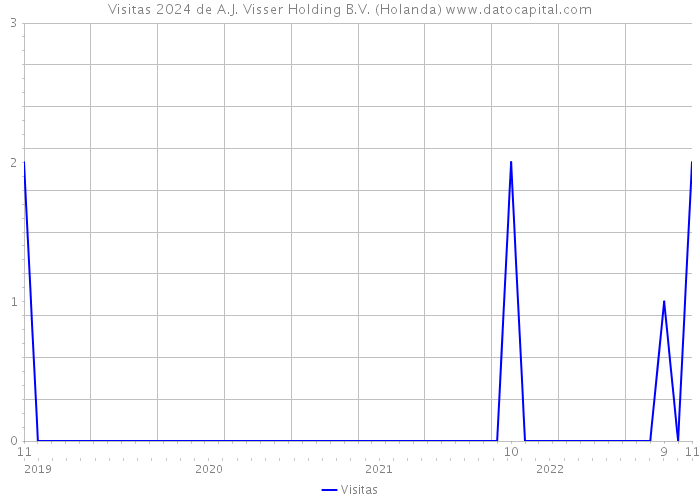 Visitas 2024 de A.J. Visser Holding B.V. (Holanda) 