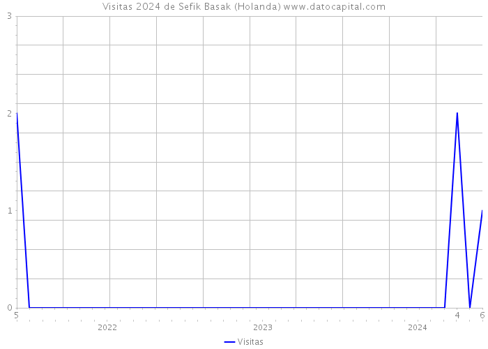 Visitas 2024 de Sefik Basak (Holanda) 