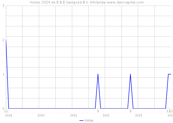 Visitas 2024 de E & E Vastgoed B.V. (Holanda) 