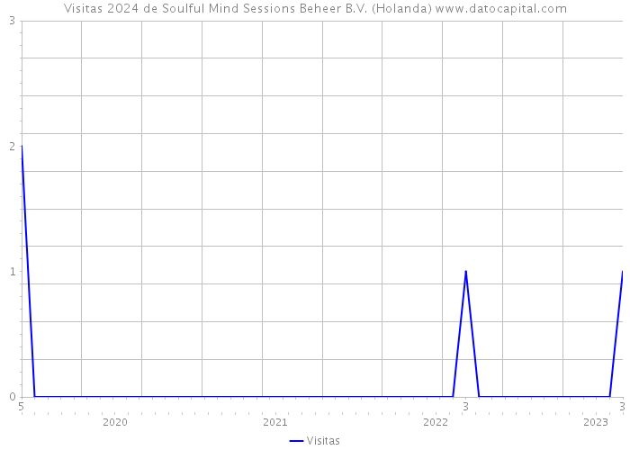 Visitas 2024 de Soulful Mind Sessions Beheer B.V. (Holanda) 