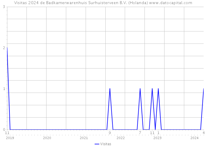 Visitas 2024 de Badkamerwarenhuis Surhuisterveen B.V. (Holanda) 