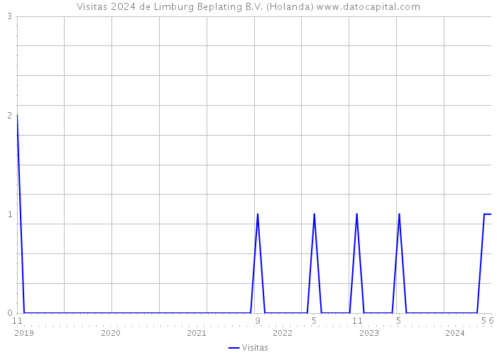 Visitas 2024 de Limburg Beplating B.V. (Holanda) 