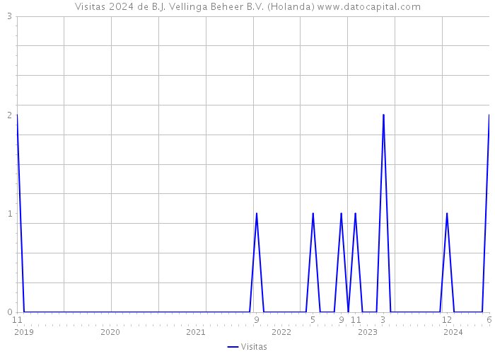 Visitas 2024 de B.J. Vellinga Beheer B.V. (Holanda) 