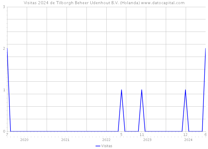 Visitas 2024 de Tilborgh Beheer Udenhout B.V. (Holanda) 