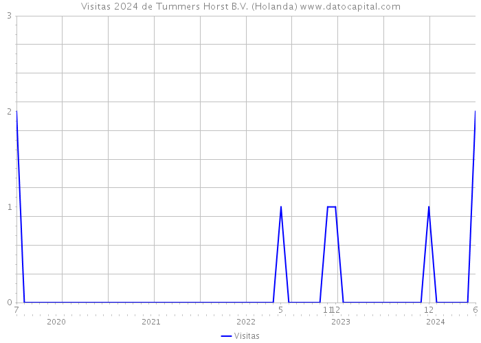 Visitas 2024 de Tummers Horst B.V. (Holanda) 