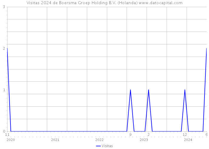 Visitas 2024 de Boersma Groep Holding B.V. (Holanda) 