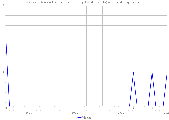 Visitas 2024 de Dandelion Holding B.V. (Holanda) 